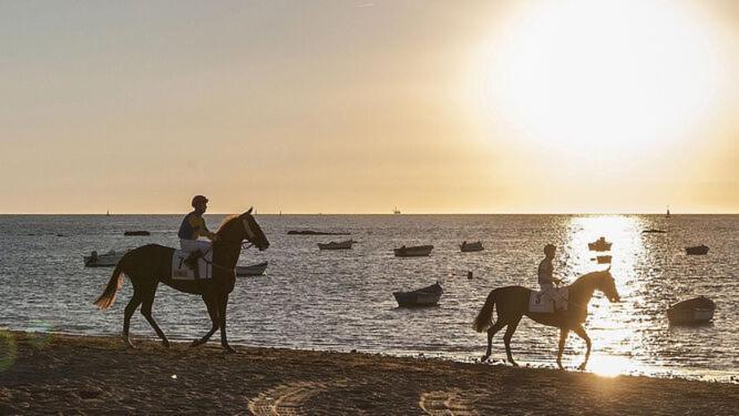 Brisas Del Guadalquivir Hébergement de vacances Sanlúcar de Barrameda